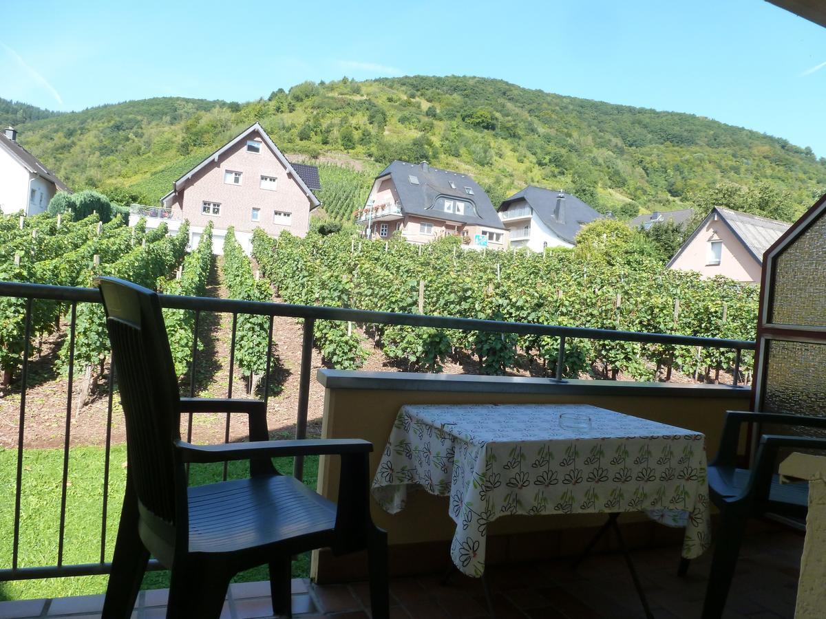 Wein- Und Gaestehaus St. Aldegundishof 장크트 알데군트 외부 사진
